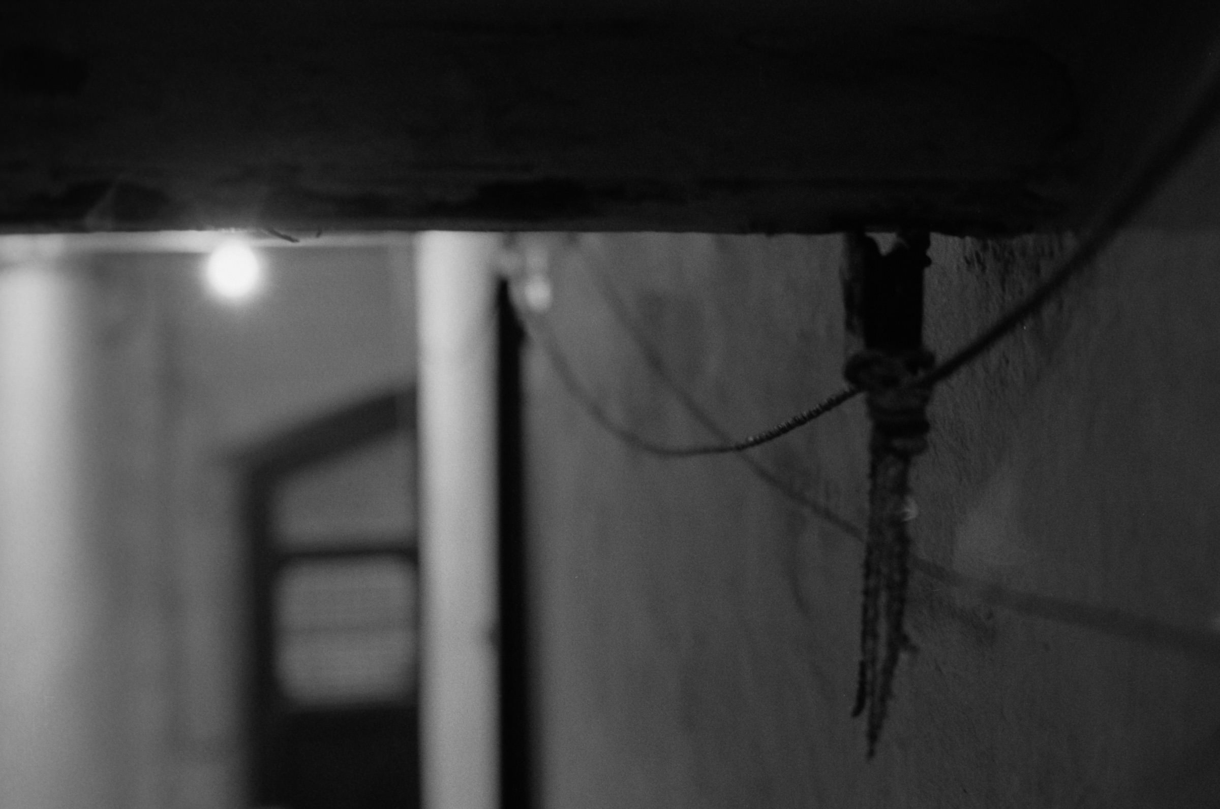 AHP F1995 10 003 sc240815 img29 NLP